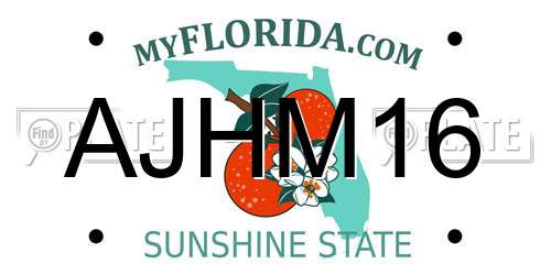 AJHM16 Florida License Plate