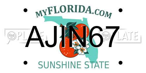 AJIN67 Florida License Plate