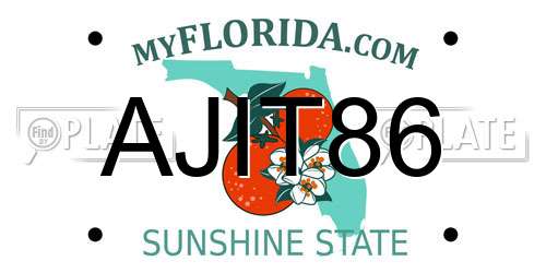 AJIT86 Florida License Plate