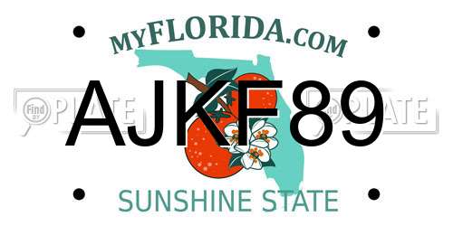 AJKF89 Florida License Plate