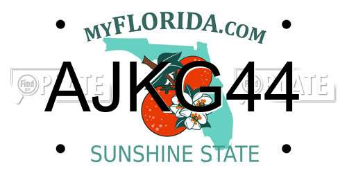 AJKG44 Florida License Plate