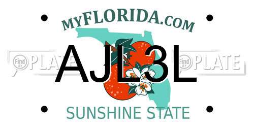 AJL3L Florida License Plate