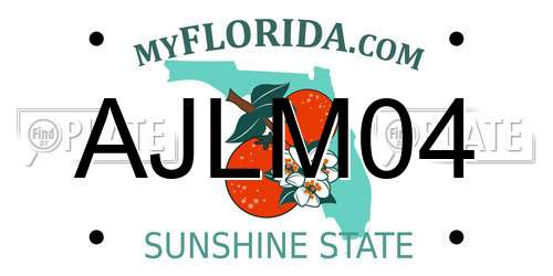 AJLM04 Florida License Plate
