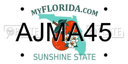 AJMA45 Florida License Plate