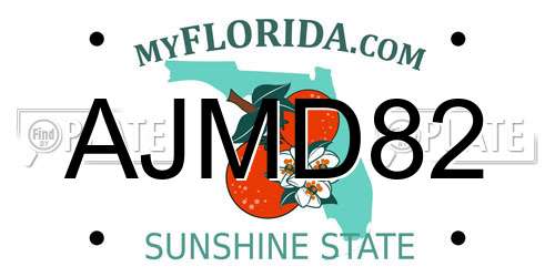 AJMD82 Florida License Plate