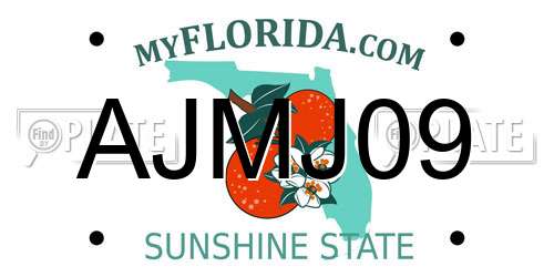 AJMJ09 Florida License Plate