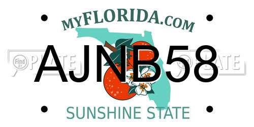 AJNB58 Florida License Plate