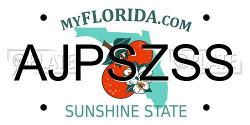AJPSZSS Florida License Plate