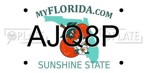 AJQ8P Florida License Plate