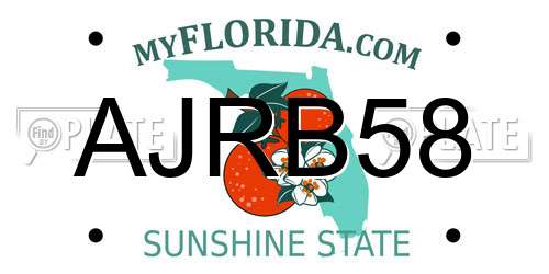 AJRB58 Florida License Plate