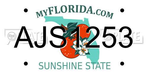 AJS1253 Florida License Plate