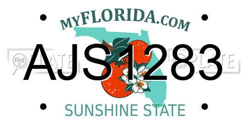 AJS1283 Florida License Plate