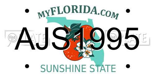 AJS1995 Florida License Plate
