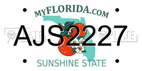 AJS2227 Florida License Plate
