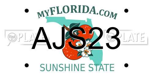 AJS23 Florida License Plate