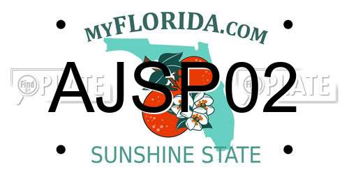 AJSP02 Florida License Plate
