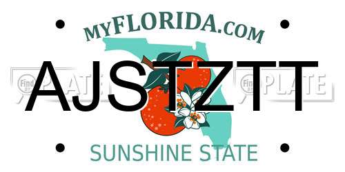 AJSTZTT Florida License Plate