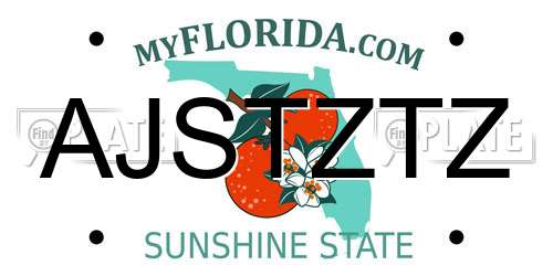 AJSTZTZ Florida License Plate