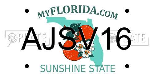 AJSV16 Florida License Plate