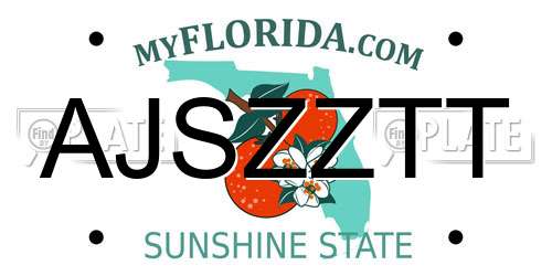 AJSZZTT Florida License Plate
