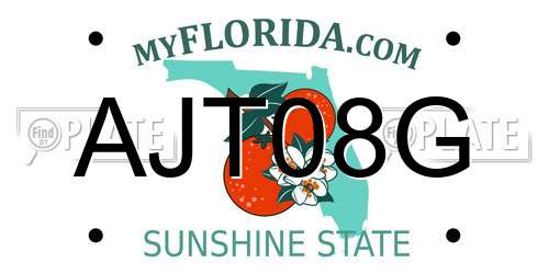 AJT08G Florida License Plate
