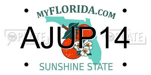 AJUP14 Florida License Plate