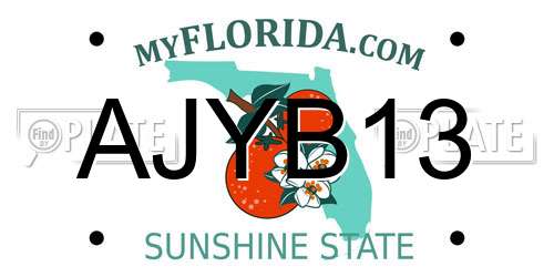 AJYB13 Florida License Plate