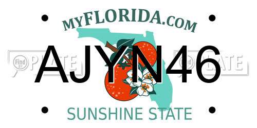 AJYN46 Florida License Plate