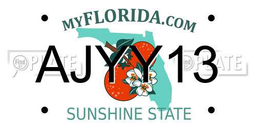 AJYY13 Florida License Plate