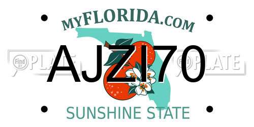 AJZI70 Florida License Plate