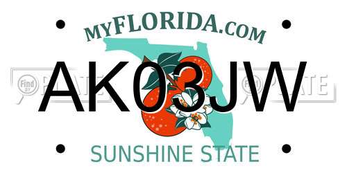 AK03JW Florida License Plate
