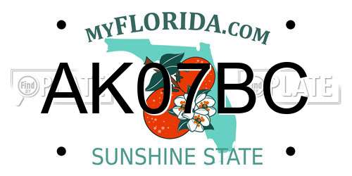 AK07BC Florida License Plate