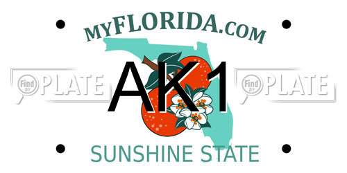 AK1 Florida License Plate