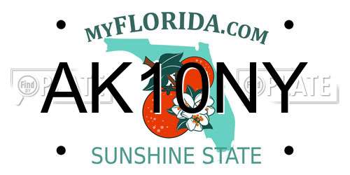AK10NY Florida License Plate
