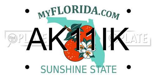AK11IK Florida License Plate