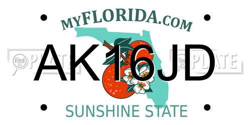 AK16JD Florida License Plate