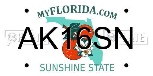 AK16SN Florida License Plate