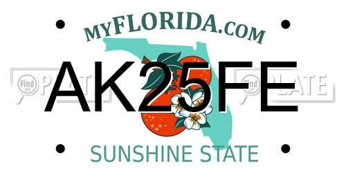 AK25FE Florida License Plate
