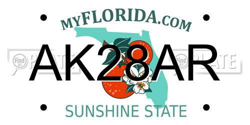 AK28AR Florida License Plate
