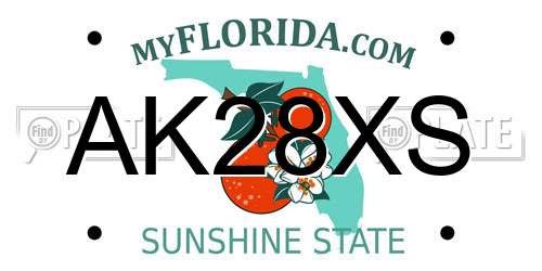 AK28XS Florida License Plate