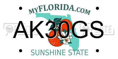 AK30GS Florida License Plate