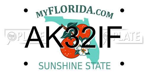 AK32IF Florida License Plate
