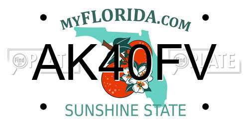 AK40FV Florida License Plate