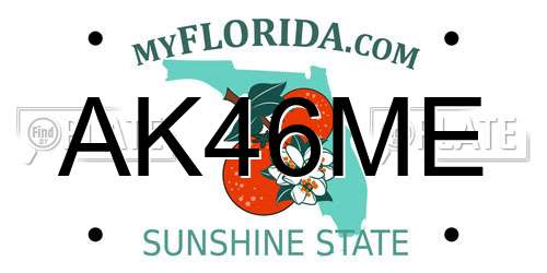 AK46ME Florida License Plate