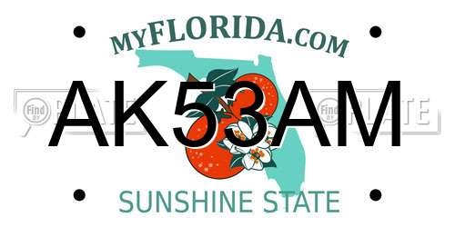 AK53AM Florida License Plate
