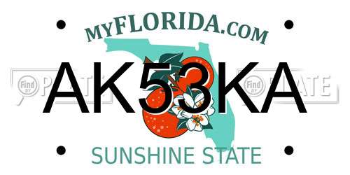 AK53KA Florida License Plate