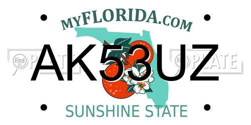 AK53UZ Florida License Plate
