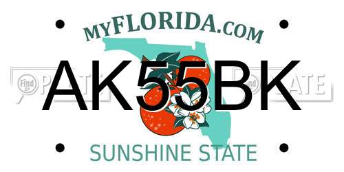 AK55BK Florida License Plate