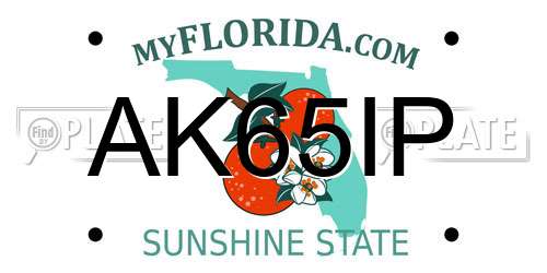 AK65IP Florida License Plate