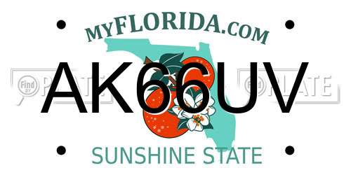 AK66UV Florida License Plate